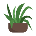 Commodi Plant
